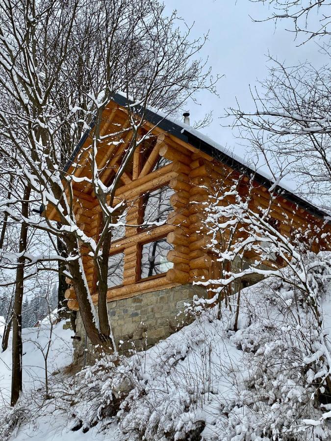 Chalet Pidstromom Mykulychyn Exterior photo